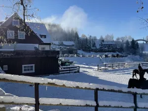 Prodej bytu 1+1, Janov nad Nisou - Hrabětice, 21 m2