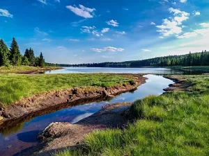 Prodej bytu 1+kk, Janov nad Nisou - Hrabětice, 24 m2