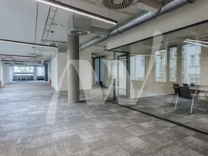 Pronájem kanceláře, Praha - Nové Město, Václavské náměstí, 326 m2