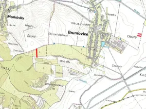 Prodej louky, Brumovice, 9612 m2