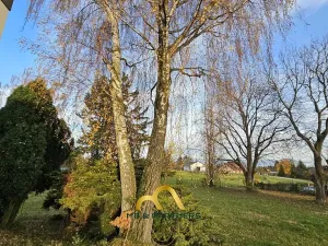 Prodej rodinného domu, Doubravička, 195 m2