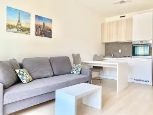 Pronájem bytu 1+kk, Praha - Vršovice, Petrohradská, 30 m2