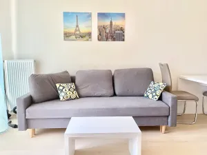 Pronájem bytu 1+kk, Praha - Vršovice, Petrohradská, 30 m2