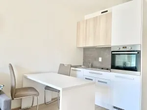 Pronájem bytu 1+kk, Praha - Vršovice, Petrohradská, 30 m2