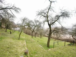 Pronájem bytu 2+kk, Praha - Vinohrady, Jana Masaryka, 60 m2