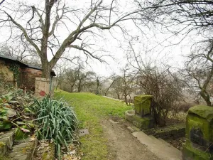 Pronájem bytu 2+kk, Praha - Vinohrady, Jana Masaryka, 60 m2