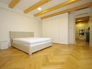 Pronájem atypického bytu, Praha - Nové Město, Bolzanova, 199 m2