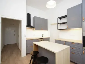 Pronájem bytu 1+1, Praha - Vinohrady, Polská, 42 m2