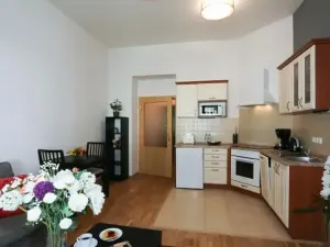 Pronájem bytu 2+kk, Praha - Vinohrady, Na Kozačce, 40 m2
