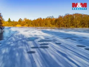 Prodej rybníku, Studená - Horní Pole, 31045 m2