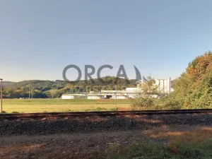 Prodej louky, Bohutín, 1450 m2