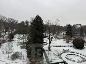 Pronájem bytu 3+kk, Brno, Drobného, 82 m2