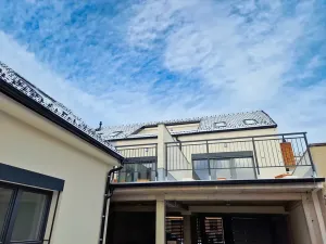 Prodej bytu 4+kk, Brno, Chleborádova, 306 m2