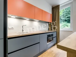 Pronájem bytu 1+kk, Praha - Vinohrady, Perucká, 26 m2
