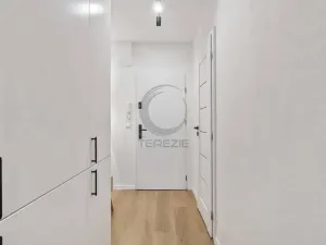 Prodej bytu 2+kk, Praha - Nusle, Plamínkové, 41 m2