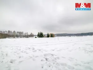 Prodej pole, Luby, 6400 m2