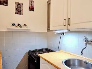 Pronájem bytu 1+kk, Praha - Vysočany, Prouzova, 36 m2