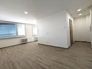 Pronájem bytu 1+kk, Most, Lipová, 33 m2