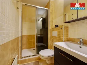 Prodej bytu 2+kk, Železná Ruda - Alžbětín, 55 m2