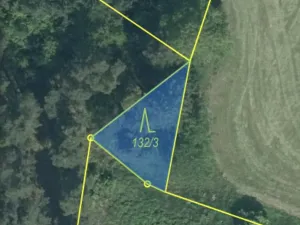 Prodej lesa, Čepřovice, 193 m2