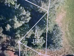 Prodej lesa, Čepřovice, 193 m2