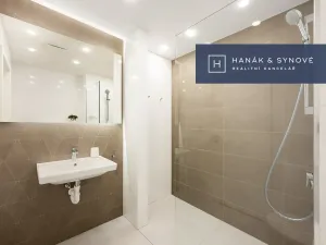 Pronájem bytu 1+kk, Brno, Koliště, 23 m2