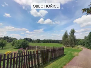 Prodej pozemku pro bydlení, Dolní Hořice, 9850 m2