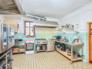 Prodej ubytování, Hoslovice, 468 m2