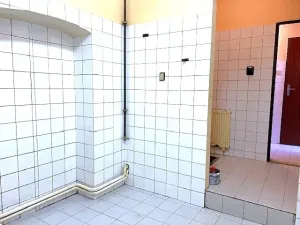 Pronájem komerční nemovitosti, Brandýs nad Labem-Stará Boleslav, 70 m2