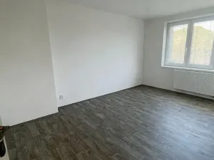 Pronájem bytu 1+1, Děčín, Kamenická, 38 m2