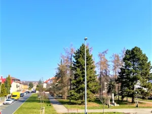 Pronájem bytu 1+kk, Praha - Hloubětín, Milovická, 20 m2