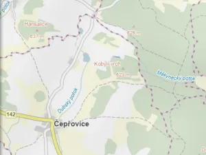 Prodej lesa, Čepřovice, 982 m2