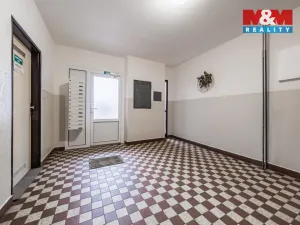 Prodej bytu 1+1, Strakonice - Strakonice I, Mlýnská, 39 m2