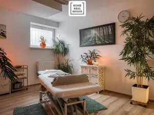 Prodej rodinného domu, Mariánské Lázně, Křižíkova, 700 m2