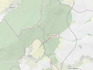 Dražba lesa, Nová Hradečná, 5079 m2