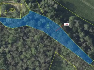 Dražba lesa, Stebno, 2275 m2