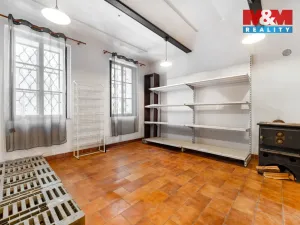 Prodej rodinného domu, Nová Ves u Jarošova, 300 m2