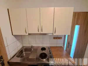 Pronájem bytu 1+kk, Plzeň, U Borského parku, 21 m2