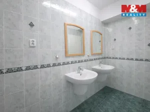 Pronájem obchodního prostoru, Teplice, Dubská, 460 m2