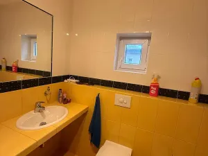 Prodej rodinného domu, Šestajovice, 325 m2