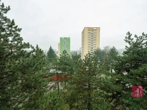 Prodej bytu 1+kk, Brno, Žitná, 29 m2