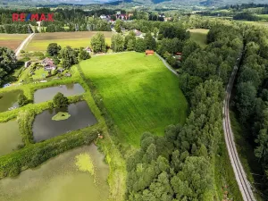 Prodej komerčního pozemku, Nová Pec, 9752 m2