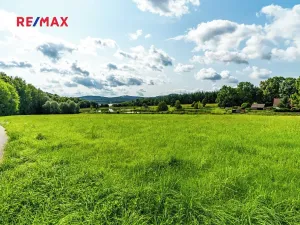 Prodej komerčního pozemku, Nová Pec, 9752 m2