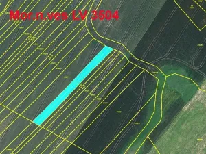 Prodej podílu pole, Moravská Nová Ves, 890 m2