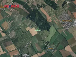 Prodej sadu/vinice, Josefov, 1165 m2