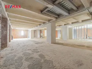 Pronájem obchodního prostoru, Praha - Nové Město, Hybernská, 526 m2