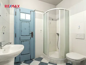 Prodej komerční nemovitosti, Pavlov, 245 m2