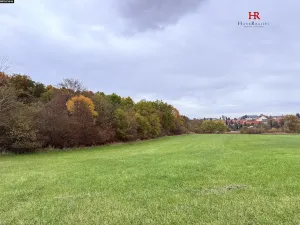 Prodej pozemku, Neveklov, 10516 m2