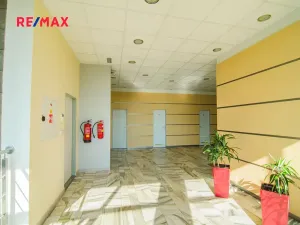 Pronájem obchodního prostoru, Svitavy, Svitavská, 80 m2