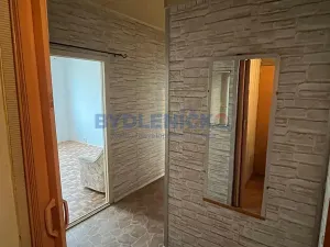 Prodej bytu 1+1, České Budějovice, K. Chocholy, 44 m2